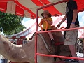 2012 Iowa State Fair 012